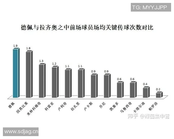 深圳羽毛球队实力深度解析与对手对比分析